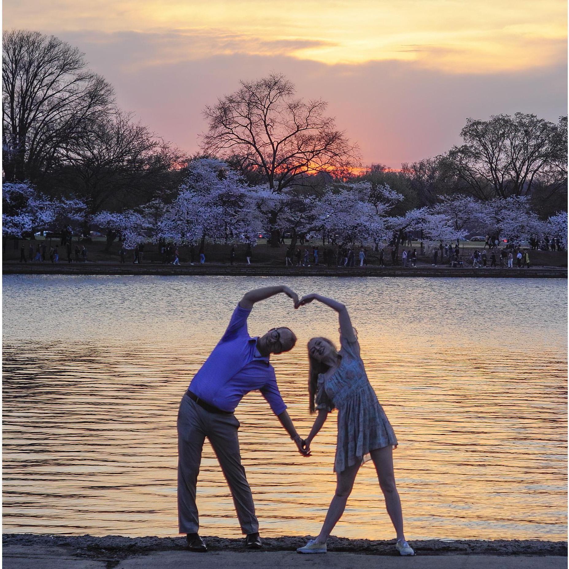 Cherry Blossoms, March 2022.