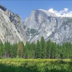 Yosemite National Park