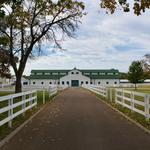 The Park at Harlinsdale Farm