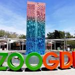 Zoologico Guadalajara