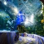 Virginia Aquarium & Marine Science Center