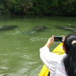 Siesta Key Bike & Kayak Rentals