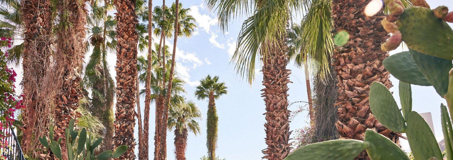 The Wedding Website of Jackie Bae and Chuck Stormzand