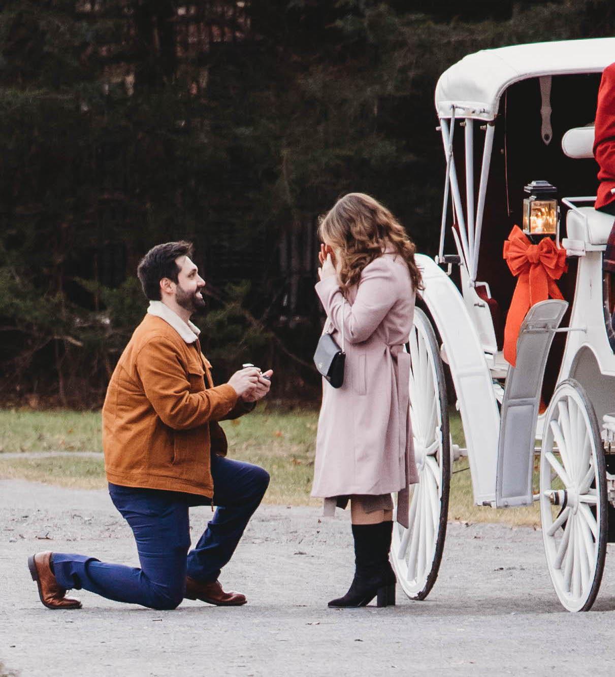 The Wedding Website of Nicolette Mallios and Michael Kauffman