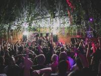 Treehouse