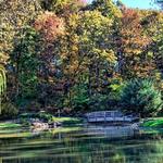 Edith J. Carrier Arboretum