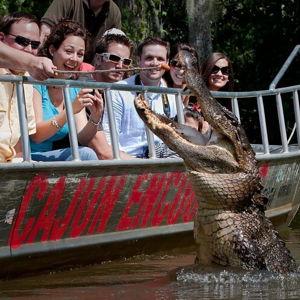 Bayou Swamp Tour