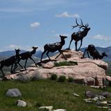 National Elk Refuge & Greater Yellowstone Visitor Center