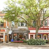 Downtown Holland Shopping