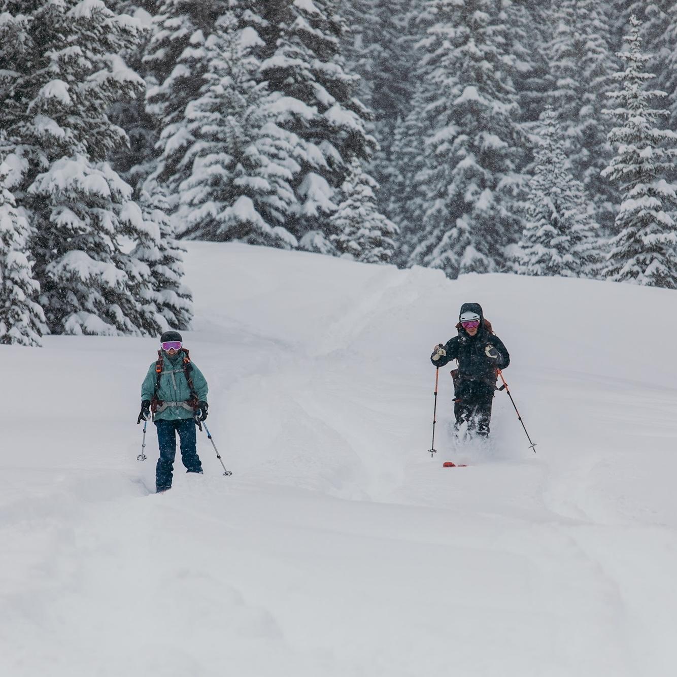 The only friends on a pow day