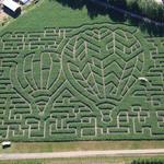Farmer J's Corn Maze-World Record Corn Maze