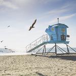 Carlsbad State Beach