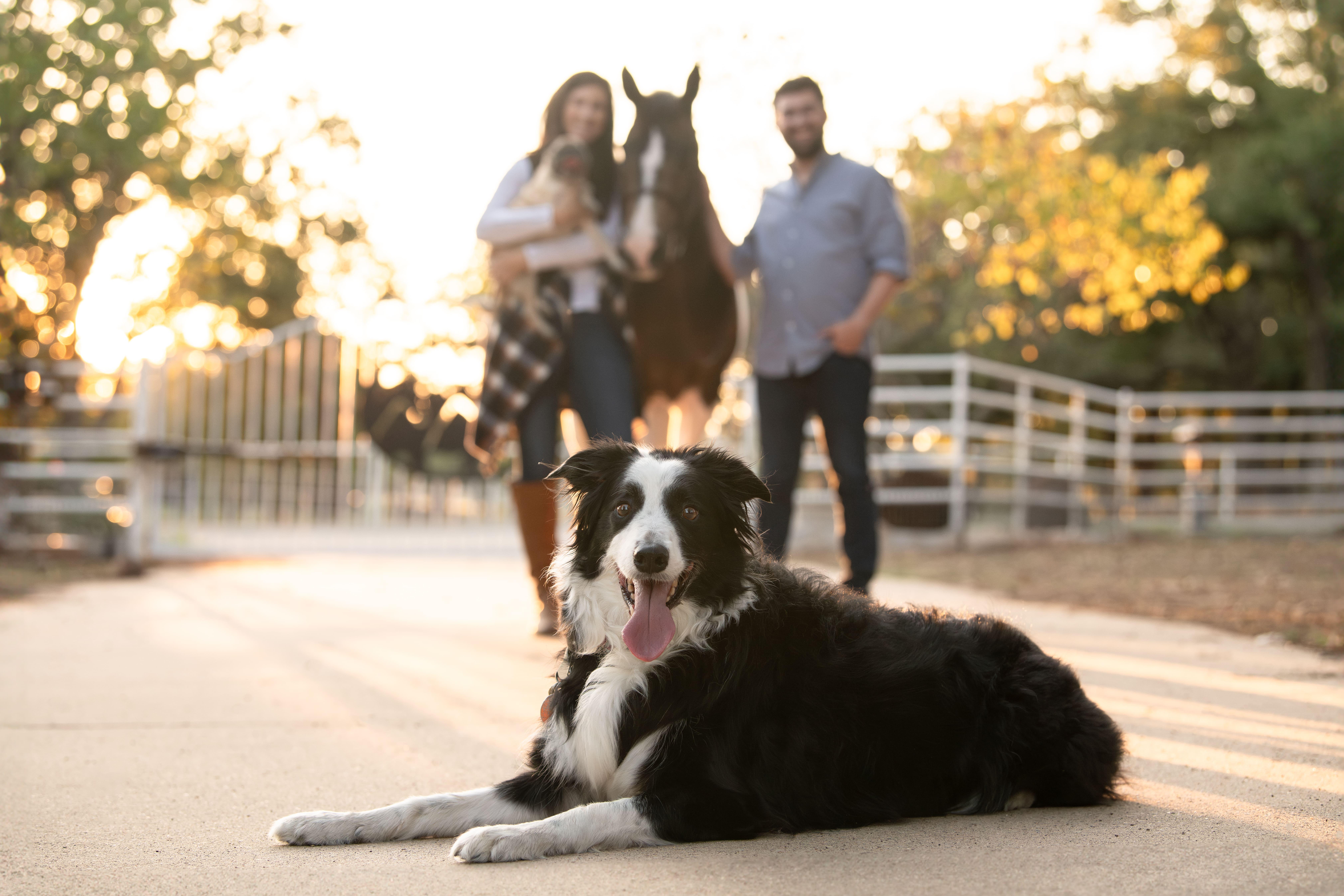 The Wedding Website of Justine Presby and Brian Cohn