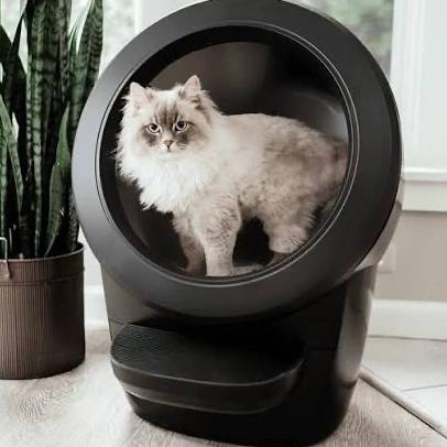 Litter Robot