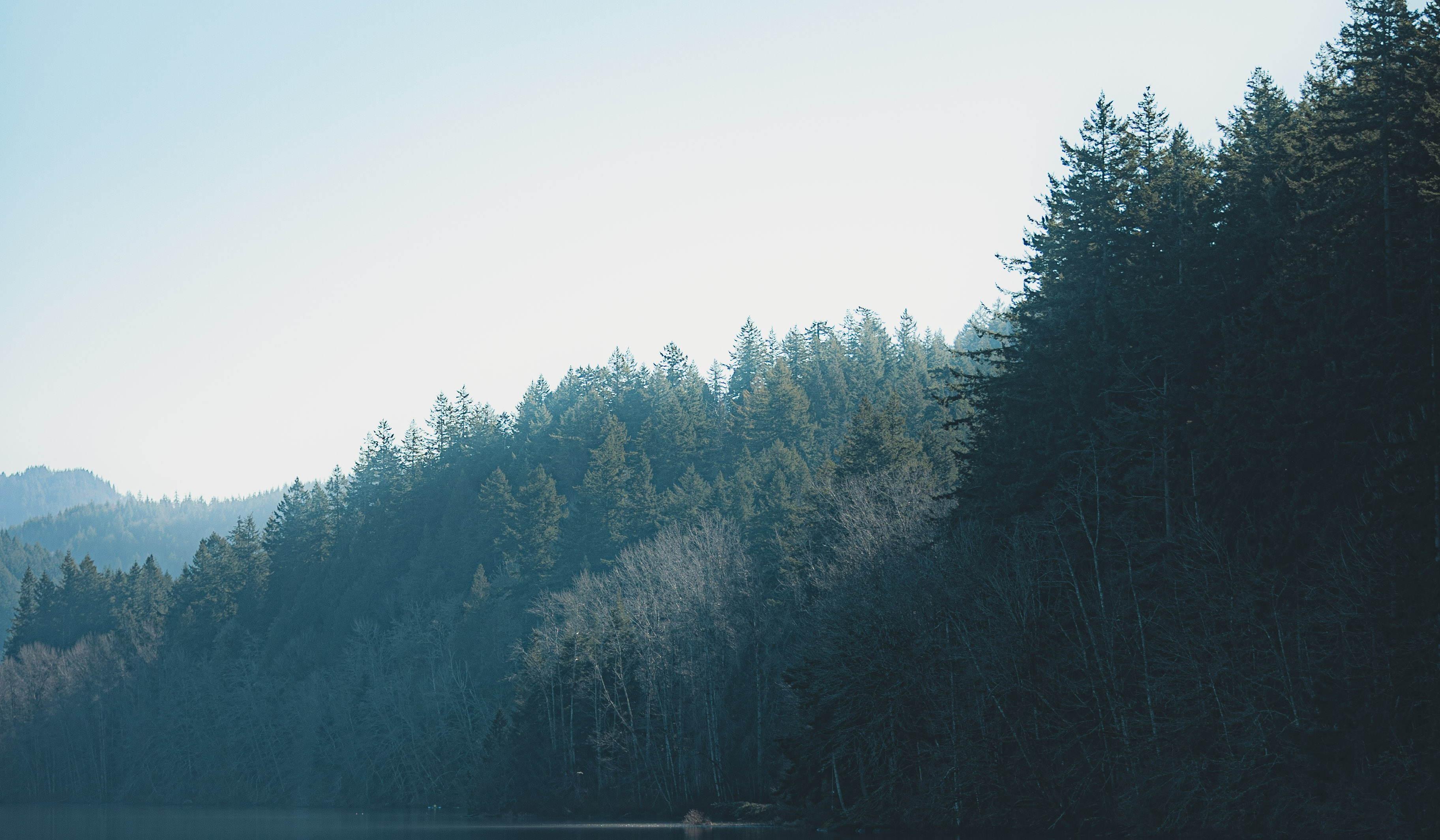 Footer image