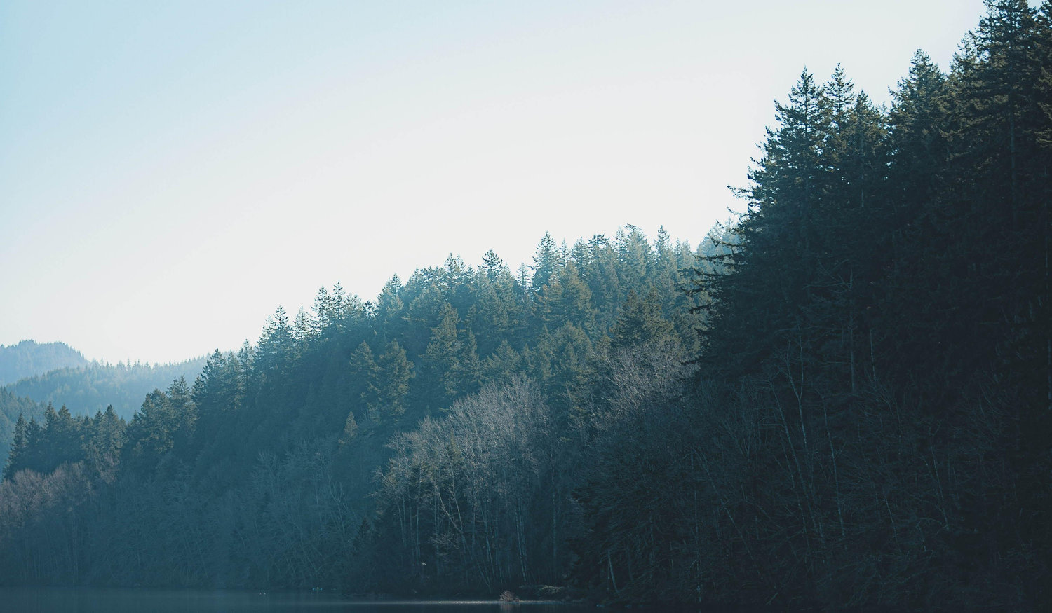 Footer image