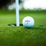 Reems Creek Golf Club