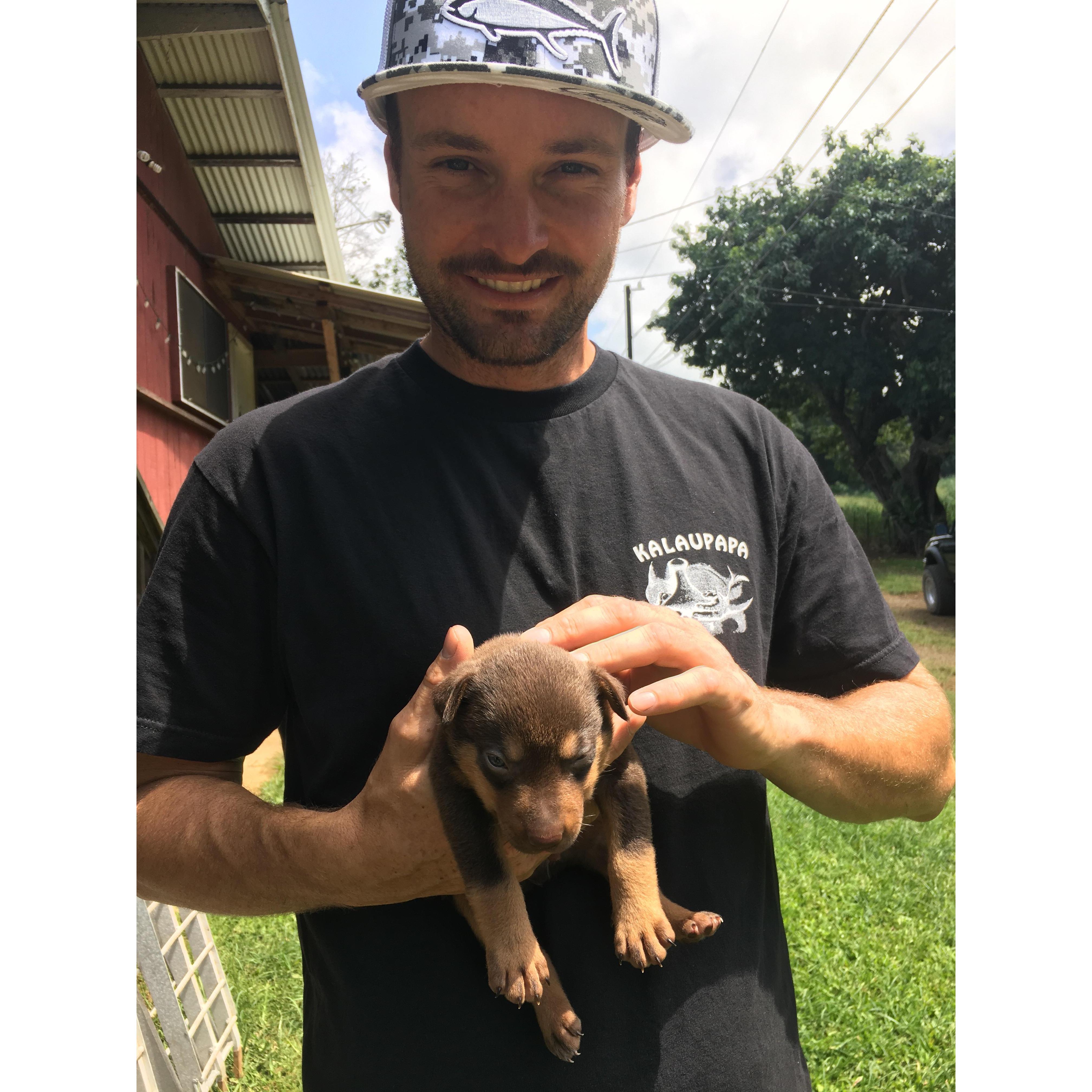 Our Paw Baby Bubu Bear ( a wild Mauna Loa bear pup)