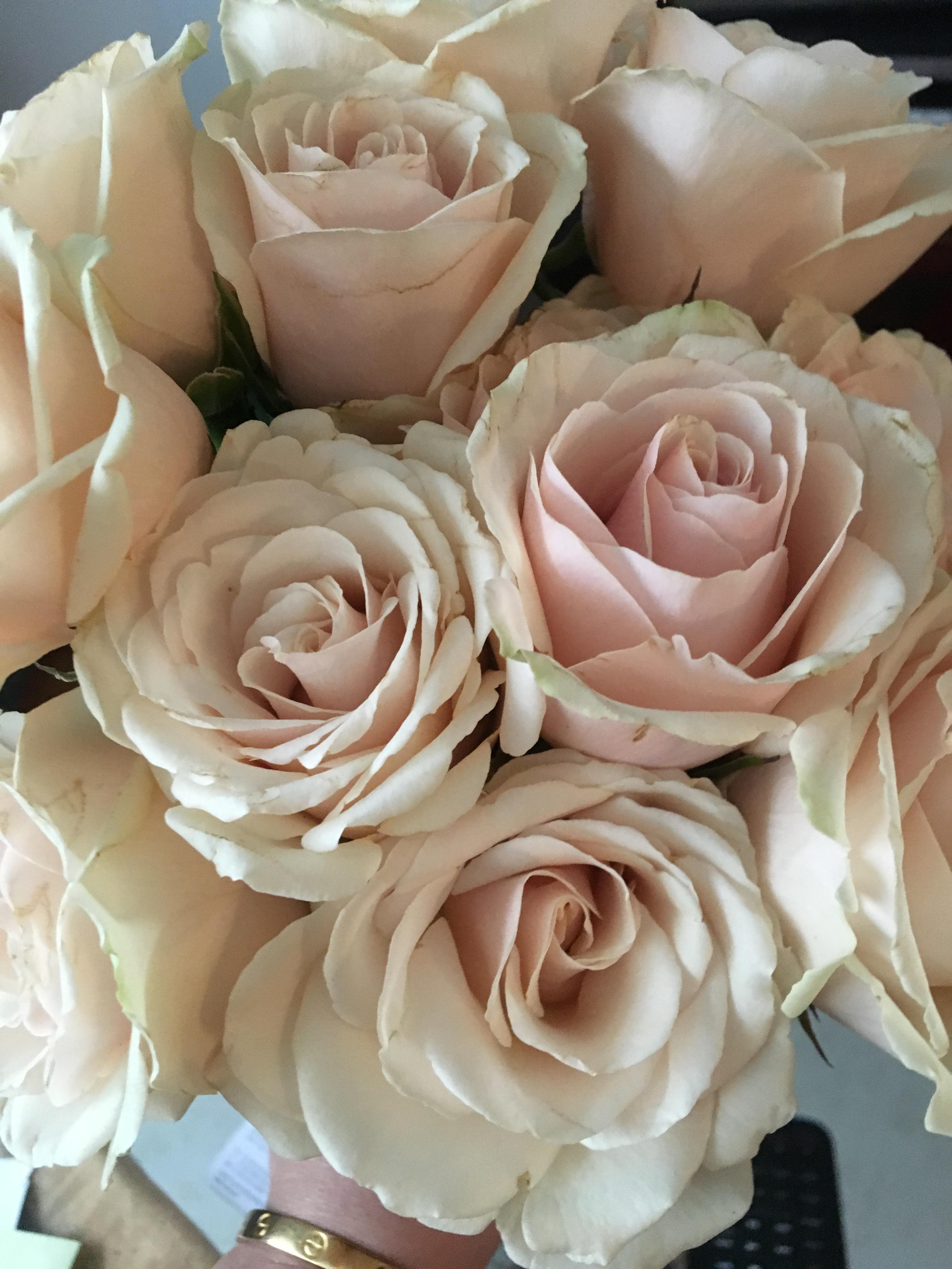 The Wedding Website of Lizzie Heil and Matt DeAngelis