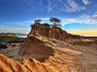 Torrey Pines State Reserve