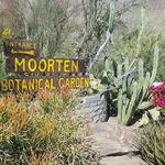 Moorten Botanical Garden