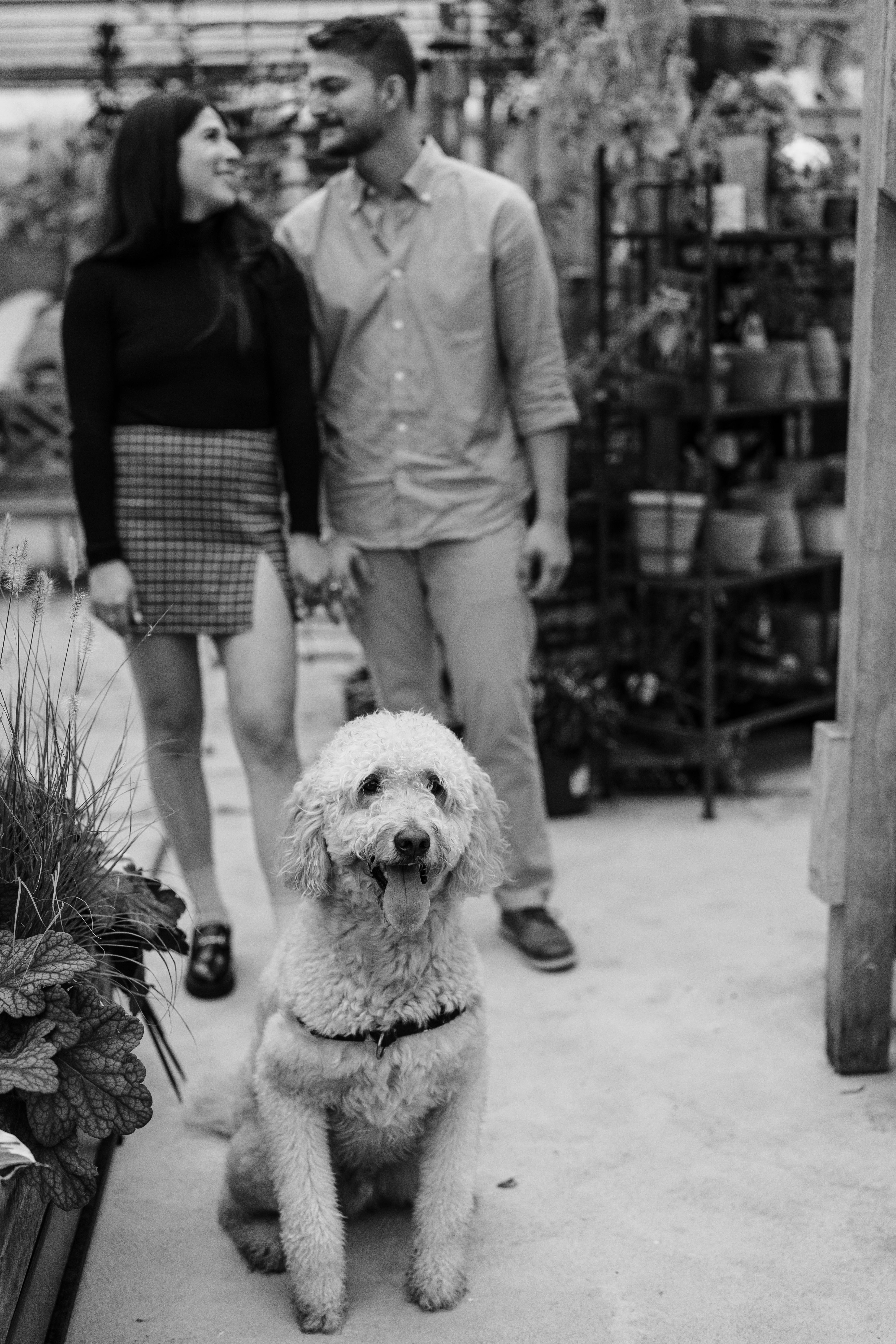 The Wedding Website of Nicolette Hollar and David Giraldo