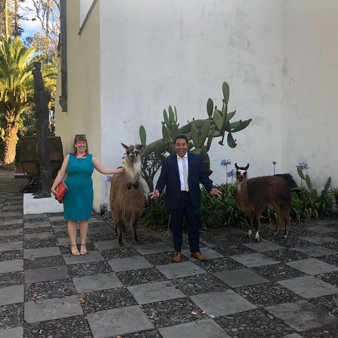 In Quito, Ecuador for a family wedding--featuring a llama bride!