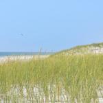 Hit the Beach!