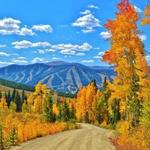 Activities in Winter Park