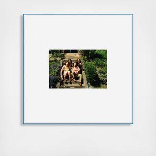 The Plexibox Snapshot Landscape