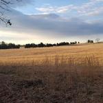 Manassas National Battlefield Park