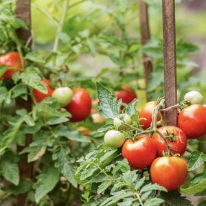 Gardening Fund
