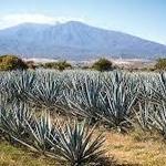 Tequila