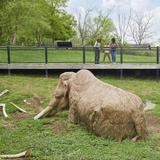 Big Bone Lick State Historic Site