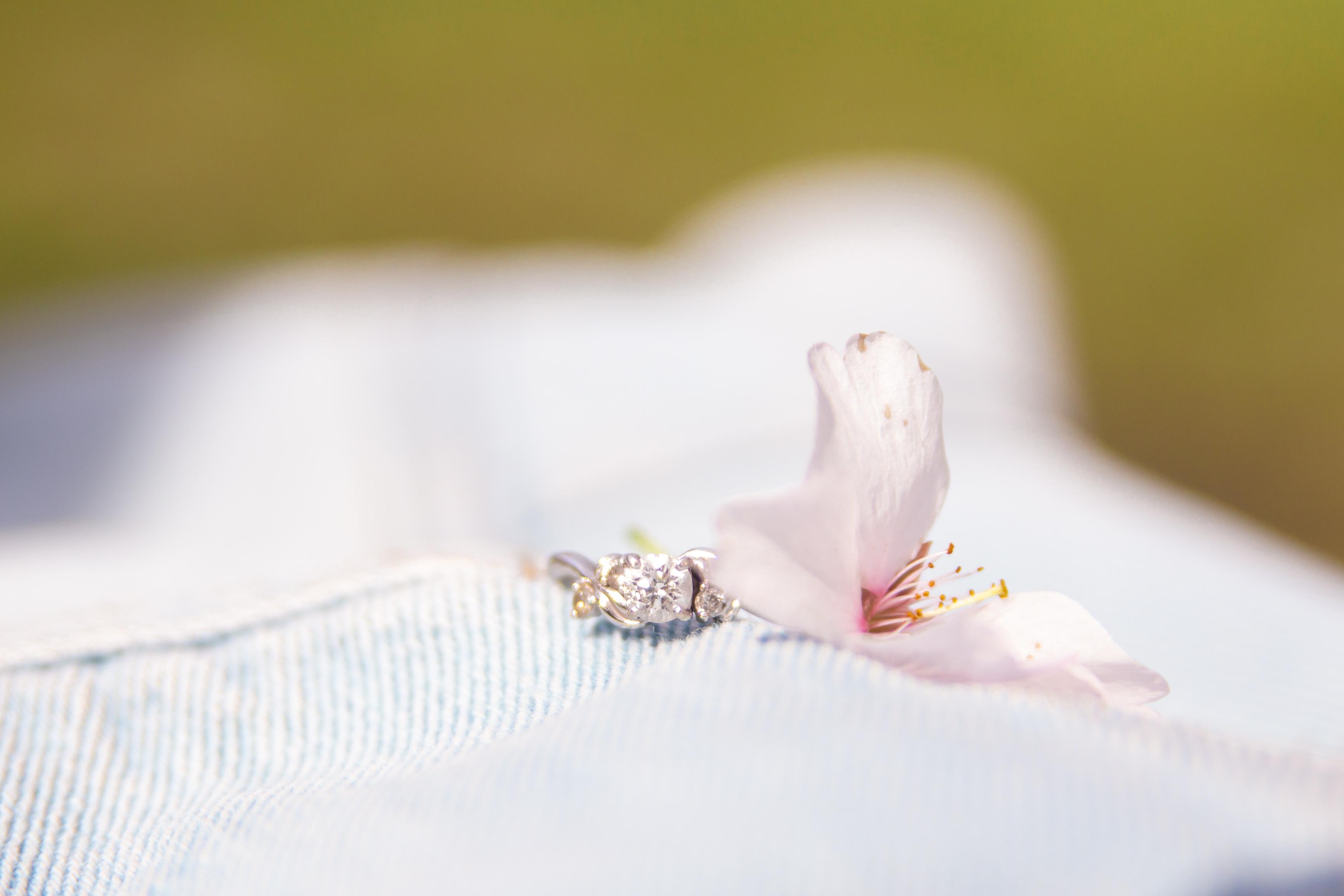 The Wedding Website of Miah Hoerter and Kyle Darling