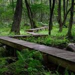 Mass Audubon's Allens Pond Wildlife Sanctuary