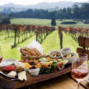 Honeymoon Wine Tasting in New Zealand
