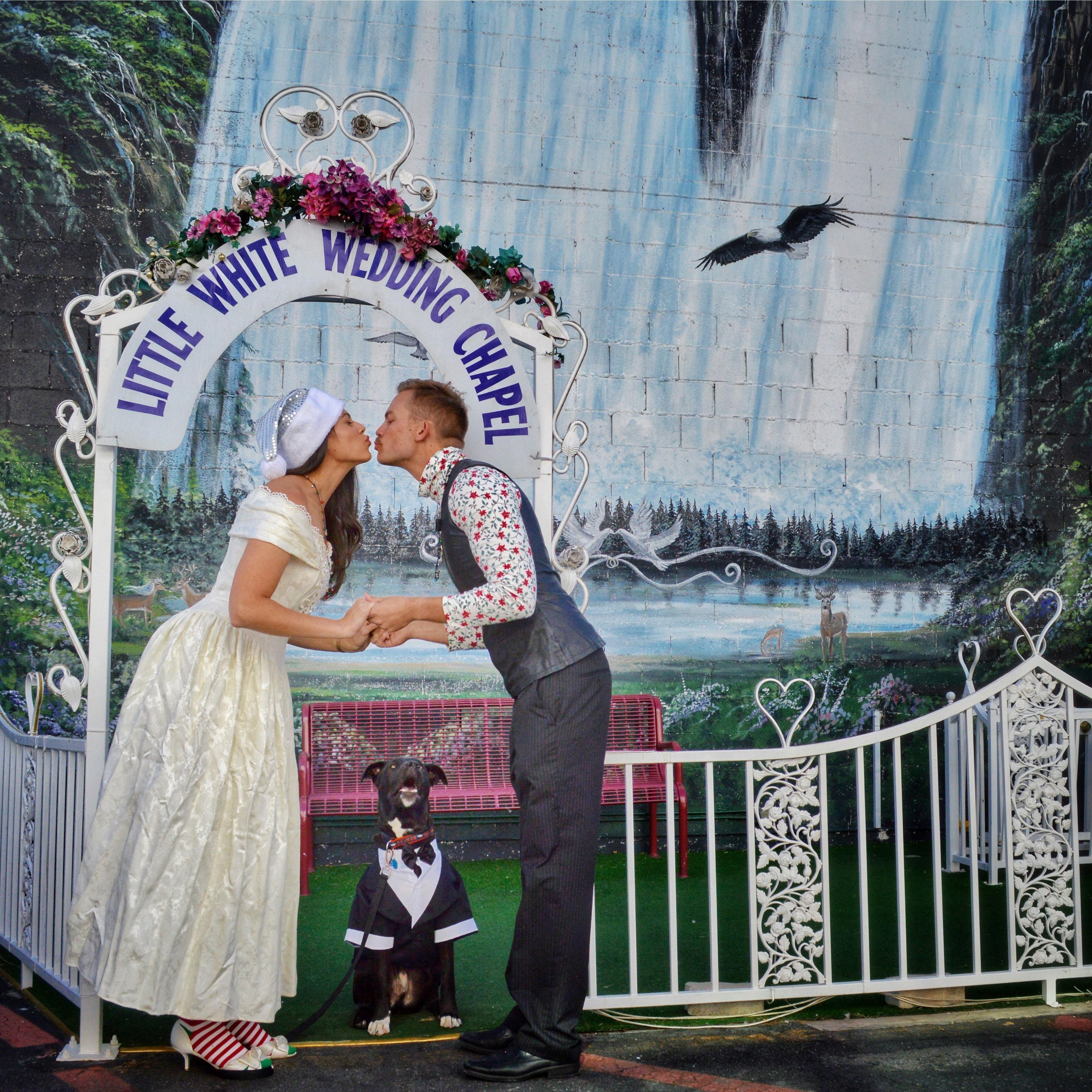 Apparently it's not a legal marriage if a dog officiates, so we're doing this thing again. July 28, be there.