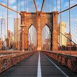 Brooklyn Bridge, FiDi & Battery Park