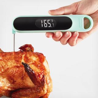 Precision Quick-Read Thermometer