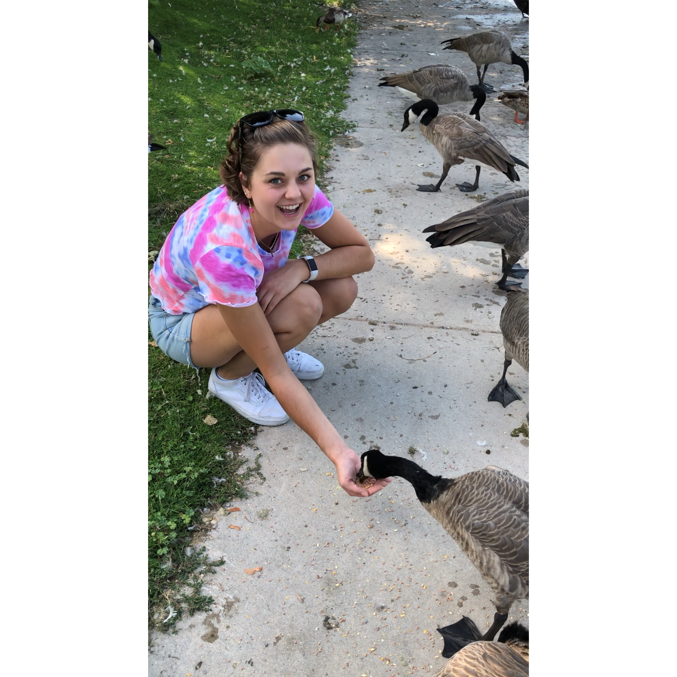 Sam's favorite things to do when we lived in Salt Lake was to feed the geese at Sugar House Park. (Don't worry this is bird seed, not bread).