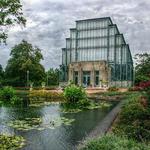 Forest Park