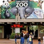 San Diego Zoo