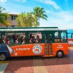 Trolley Tours
