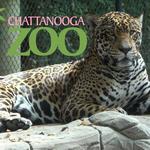 Chattanooga Zoo