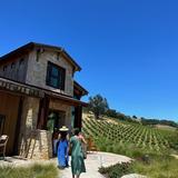 Halter Ranch
