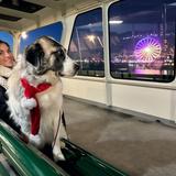Bainbridge Island Ferry