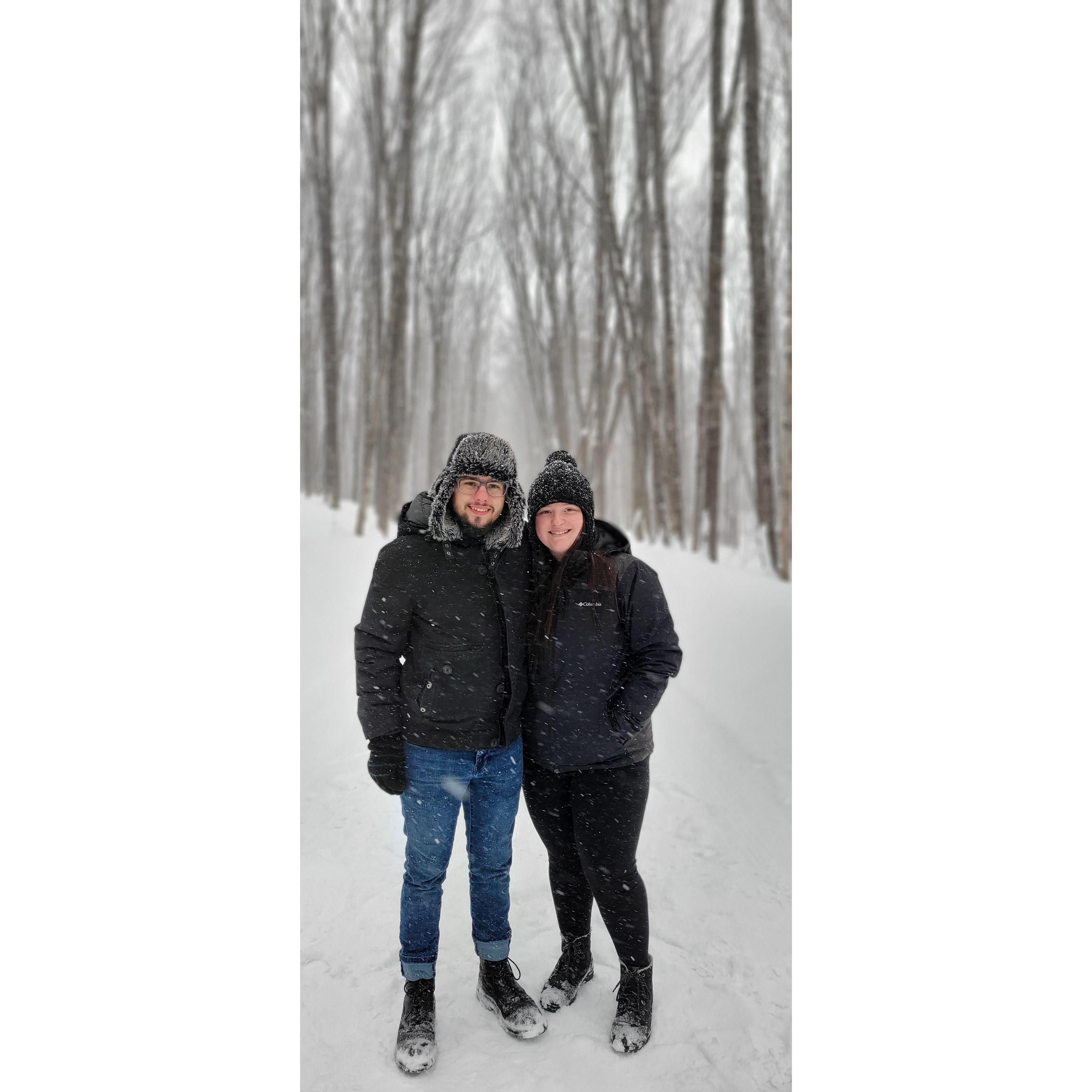 Covered Road in the Keweenaw Peninsula!