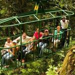 Rainforest Adventures Aerial Tram Tour