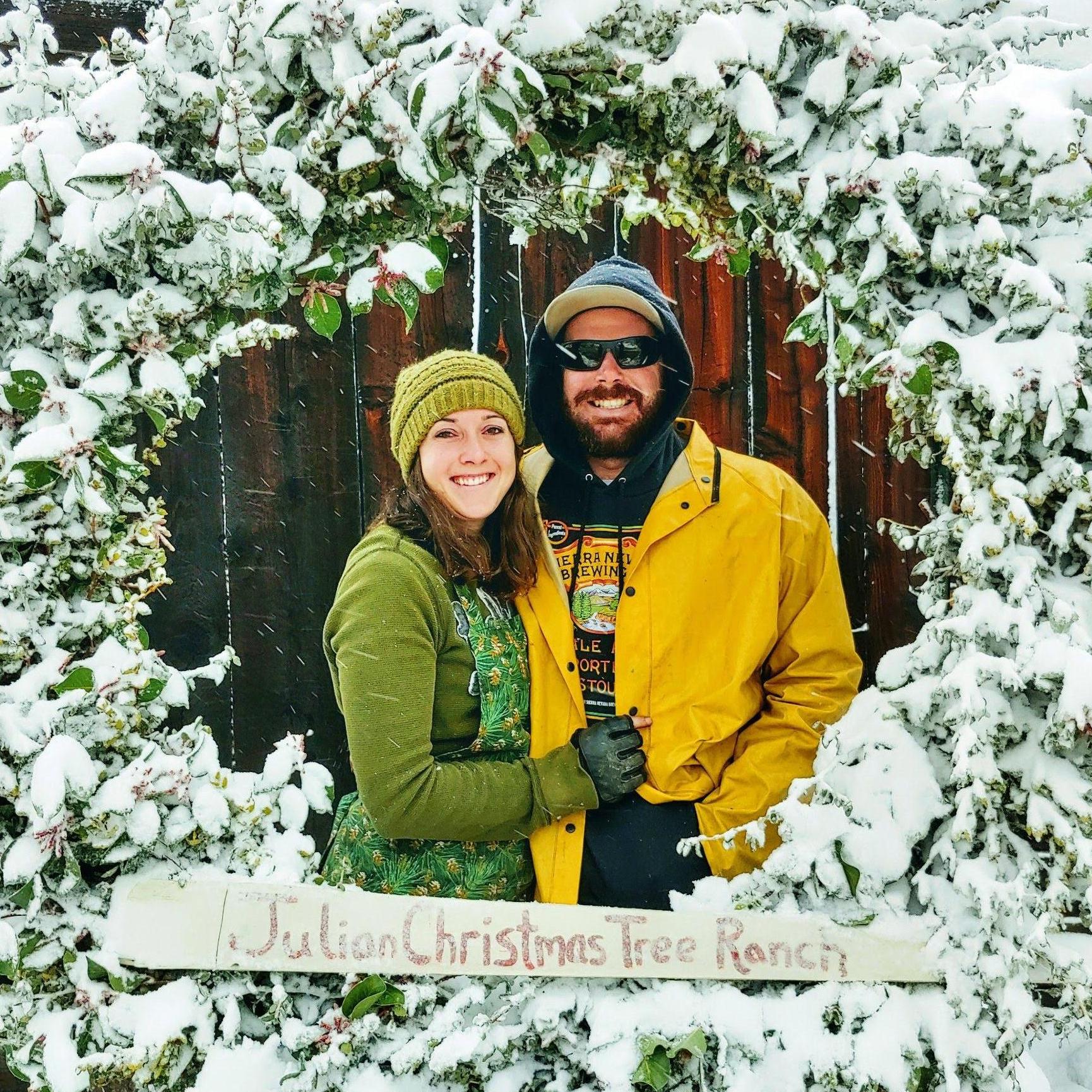 Working at the Christmas Tree Ranch 2019